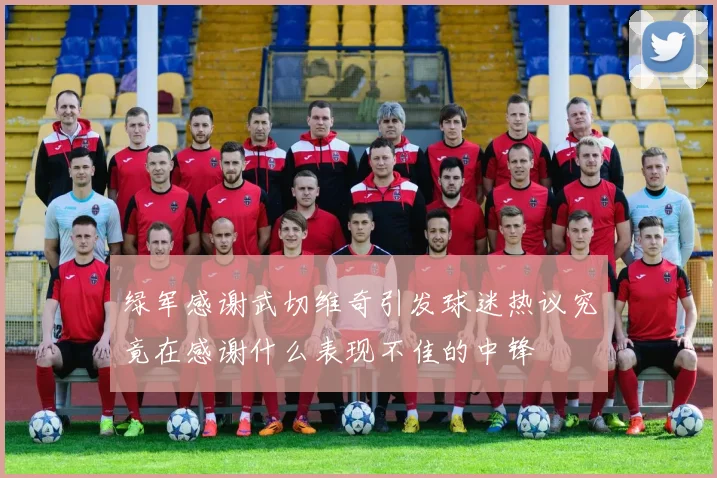绿军感谢武切维奇引发球迷热议究竟在感谢什么表现不佳的中锋