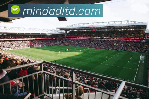 华体hth登录入口发展历程